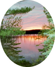 87e7440c-bed9-4b5d-b55f-65ccfdec9390