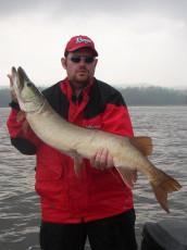 88915bfb-ea39-47ce-afcd-be40bdd774ed