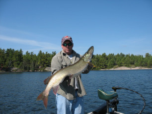 890905e7-1174-4a6e-bfa6-235f442e3903