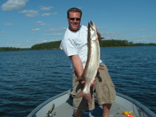 894937af-a430-4516-8b0f-fd09def17880