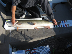 899db926-5101-4fec-ba94-d71ace474c2b