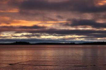 8AE03C4A-C073-4A79-AF8F-855C388D0239