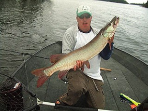 8D156AD7-7B16-49B4-BE2E-8C829D5F1A2C