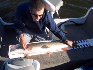 8adae66b-398a-4ee0-9ce2-f05e9beb6fb4