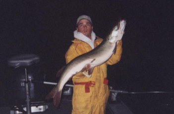 8adfe5fb-658a-49ed-9851-ada0a1e4afeb