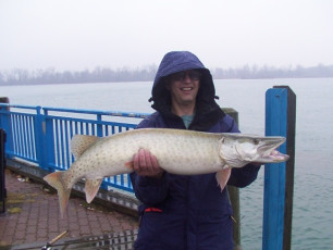 8c09d096-a55d-40cc-91e2-2e20d6c663c6