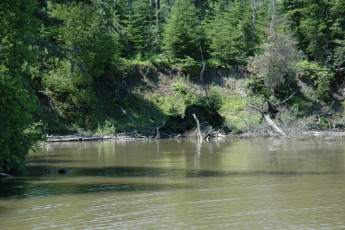 8c51d6fa-6176-4aba-8a1c-3a6b34e295ba