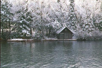 8dd9746e-560f-4b70-9500-70b473b2c39e