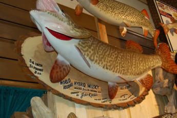 8ded7e1c-e4b0-4222-8372-0dca8007ec46