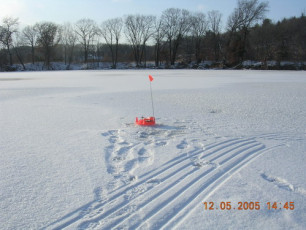 8facef96-d6bf-4a26-9056-9c1d8b0f8ad7