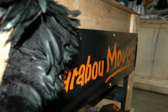 8fc85dff-53fa-4fc1-9f9a-9e1643372cf8