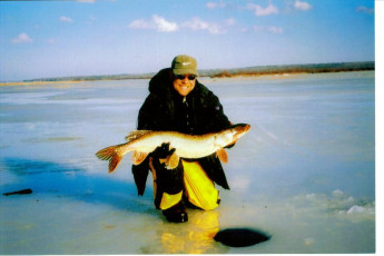 90b9e270-778a-4a55-8609-f06e38f61aae