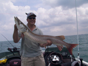 9278fc5e-d44c-4fcf-9330-29cb1aa06e47