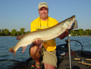 947A2D6B-D073-47C2-8DEE-FE3173EAF29E