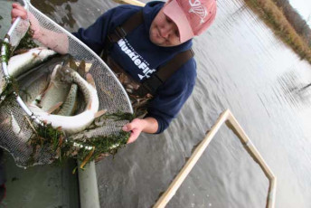 95f23fcd-3ed7-4df9-918c-dde89bde83a1