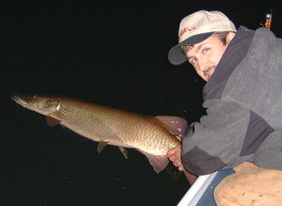 9691f8c9-78e5-495c-bb52-fae457a7a44e