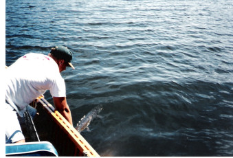 98f0c8db-9306-4ad4-9357-cfb4637541f7