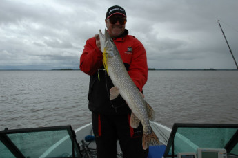 9ac76853-530c-4362-ad86-fd9f18f413d7