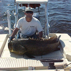 9cf71373-51a7-421d-9676-906223a91988