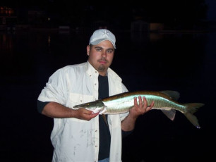 9d7284db-f27e-4563-a032-3b5c0a4f9d1f