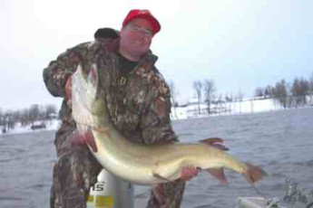 9d974db4-56d1-435a-84e5-70c3dd24be69