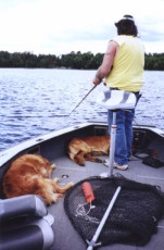 9e19592f-ceb4-4627-9e24-281906b4237f