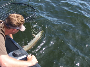 A2AD230C-3163-4052-B2A7-037C4C6FCC63