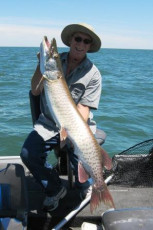 A3F10F41-91EC-4481-AC67-75C6ED599DF7