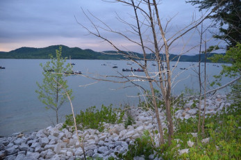 A4D4B8C1-A3D6-4C56-8717-3CD45E04DF02