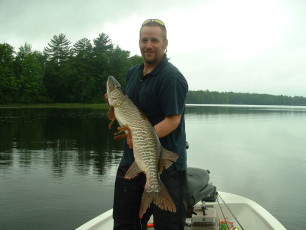 A580B61A-1727-43F7-8998-CCA3C59AE9BB