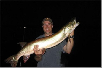 A71BF15C-8C1E-4D85-8211-4201052DA8C8