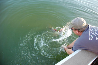 A787F621-B936-4840-A46E-600737F8880A