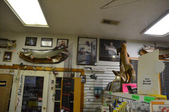 ADC11D5E-BABB-4890-B624-3EC6510552B2