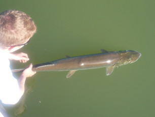 B16B130E-1275-4D44-AD38-C8F0110DBEBD