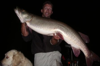 B41997E5-38ED-4090-85AE-5452EA80D860