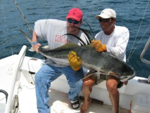 BE19556F-D56A-44A9-8253-329CDF397C0B