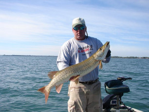 BE1D0725-D2DA-4AD6-8213-2F26959FA33B