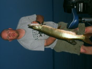 BE9AC5CC-D0D6-4638-9D4B-BA1B27DBC806