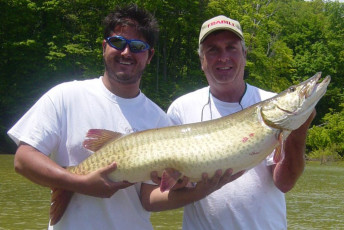 C77DECBA-31E1-459D-A231-0A3274CECEAE