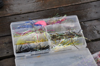 D33BF70C-57A5-4412-A24F-2B774663D578