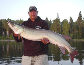 DEB10A36-4795-486F-B109-E874C80A86A9