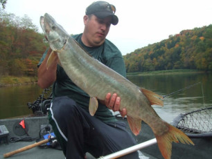 E01A500D-8325-4838-B079-5949FFF562F4