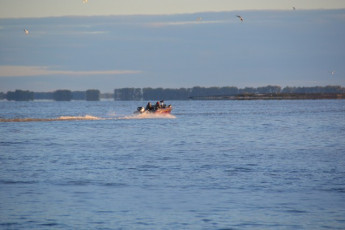 E509BE0A-F7E3-4295-8EE5-7B4740F0F46B