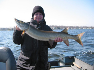 E5357837-0AD7-447A-A77C-037198FC4768