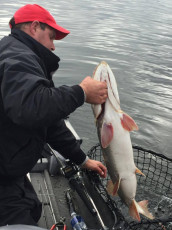 E5CECF45-B89C-4F29-B23E-E45B2D3D97B0