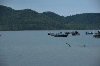 E84549D5-4A41-4541-A6BE-C818935C1327