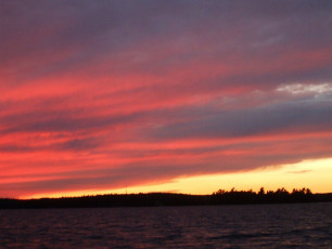 F66FF537-0D71-47D1-A75D-059E860EAFDE