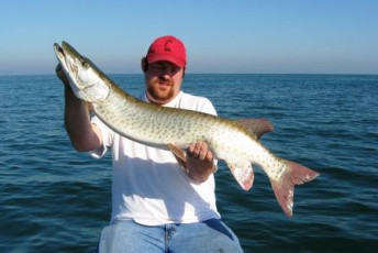 FCCCAC4B-C006-4704-A5A2-D732ED3107CE