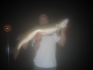 FDCF3B1E-2D63-4B1E-81C7-84DAAFF90FB1