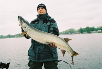 a03bcf07-d871-47e1-ad89-3b573a60b467